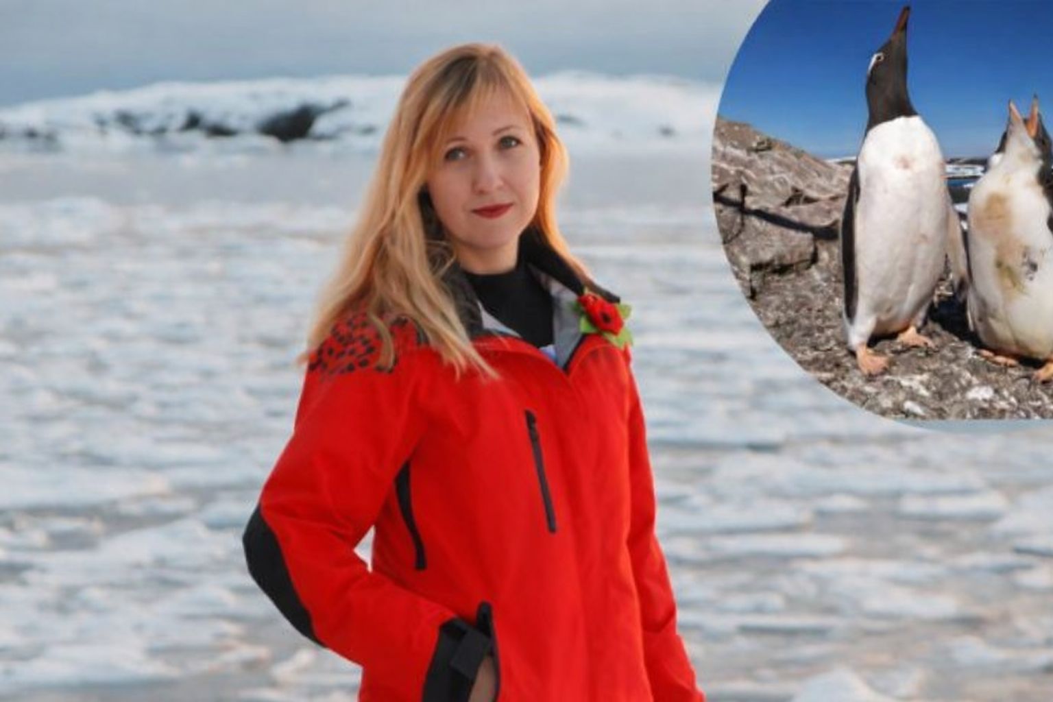 Kvinna i röd jacka framför isigt landskap, med inzoomade pingviner.
